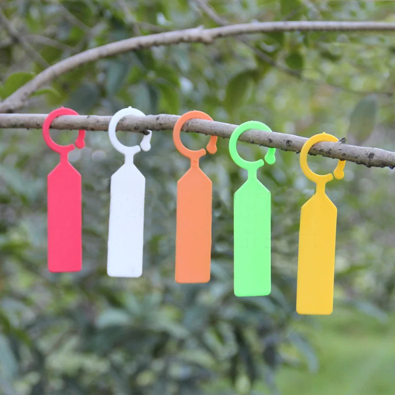 

20Pcs/Pack Wine Bottle Tags Hanging Gardening Label Portable Buckle Plastic Reusable Thicken Seedling labels