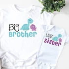 Рубашки для большого брата, младшей сестры, семейного образа, футболки для большого брата, младшей сестры, братьев, сестер, динозавров, милые футболки, Прямая поставка