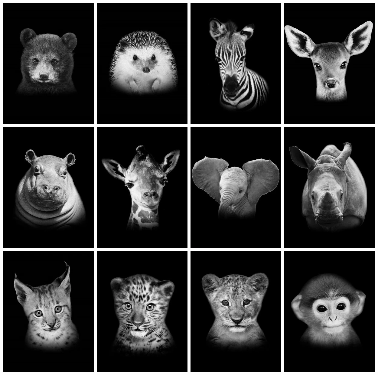 

EverShine Diamond Painting Full Square Elephant Cross Stitch Kits Diamond Embroidery Animals Picture Rhinestones Sale Wall Decor