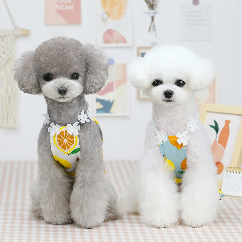 

2021 Cute Dog Dresses for Small Dogs Chihuahua Lemon Print Dress Skirt Puppy Cat Princess Clothes Apparel Hawaiian Dress