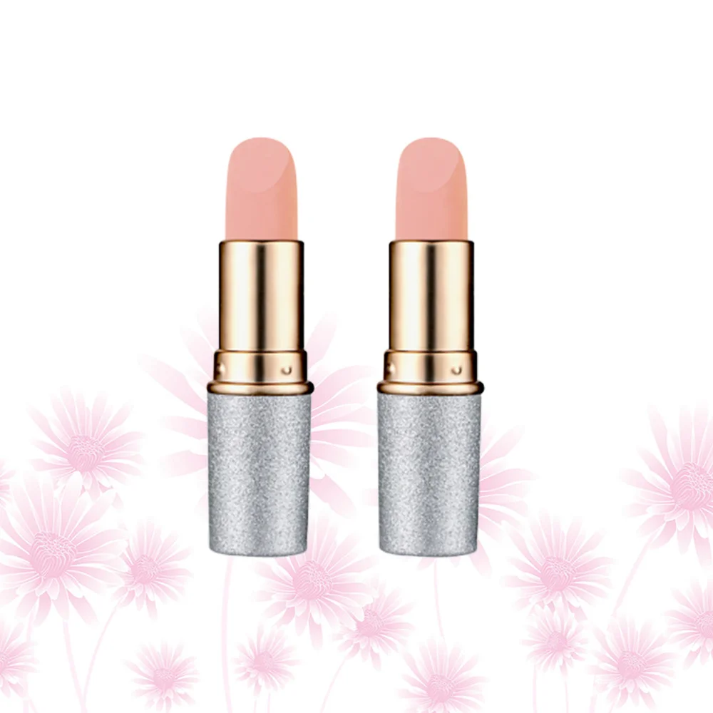 

2Pcs Matte Mist Lipstick Lipsticks Delicate Lipstick Makeup Accessories 1