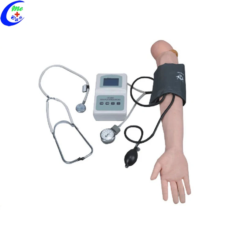 

Nursing Dummy Simulators Blood Pressure Training Arm Model