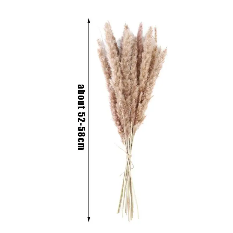 

10 Sticks of Dried Reed Flowers for Home Decoration Primary Color Dry Plant Reed Decoration Wedding Party Decoration