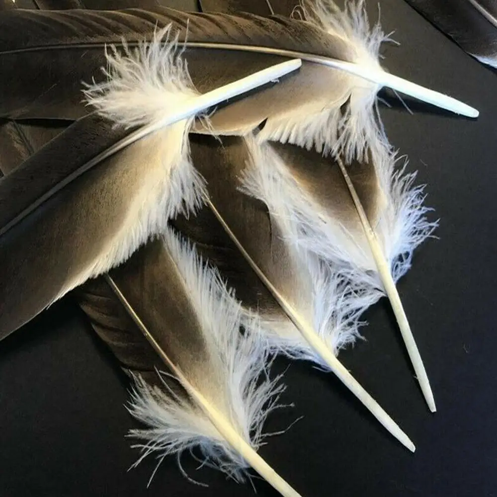 

Holesale 10 Rare Natural Eagle Feathers 40-45 Cm/16-18 Jewelry Stage Decoration Accessories Celebration Inches Performance Z1G1