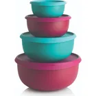 Коробка для хранения Tupperware набор с клевером, 4 шт.