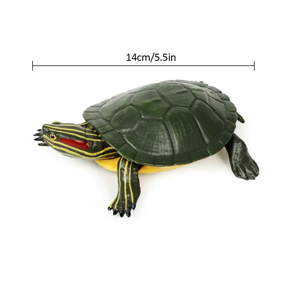 

5.5inch Brazilian Red-Eared Slider Turtle Tortoise Animal Toy Action PVC Figure High Quality Plastic And Hand Painted Real