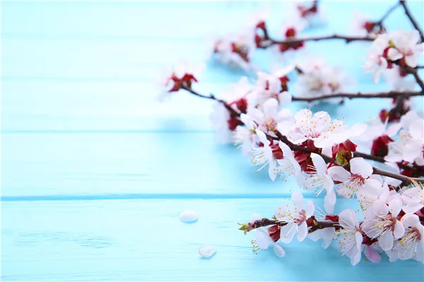 

SHENGYONGBAO Vinyl Custom Photography Backdrops Props Flower and Wood Planks theme Photo Studio Background 20212-2477