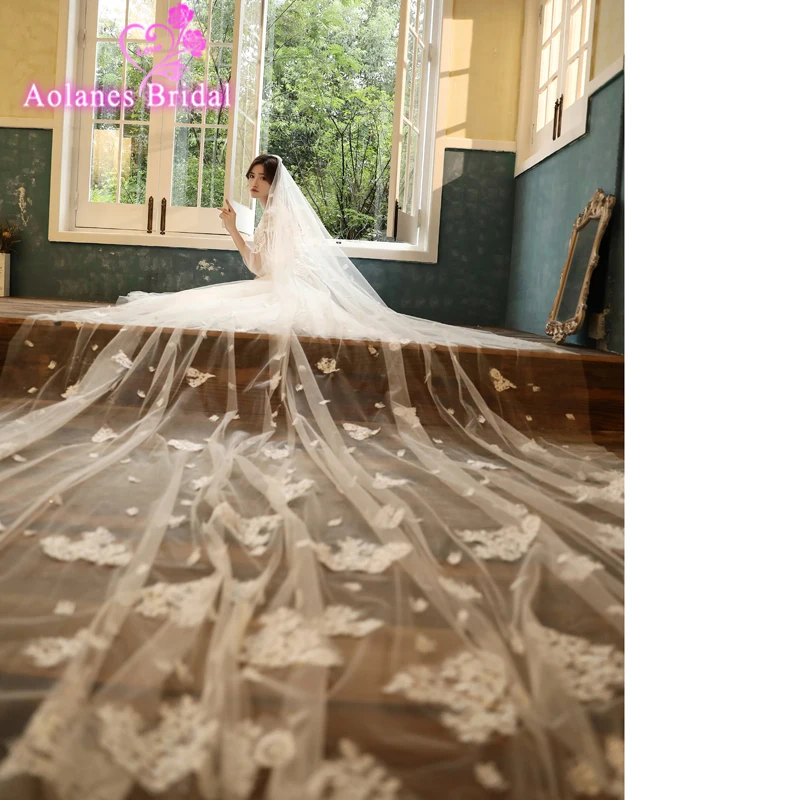 2019 New Real Photos  Lace 2 Layers Long Wedding Veil 2 T Nature White Champange Bridal Veil With Blusher Comb Voile De Mariee