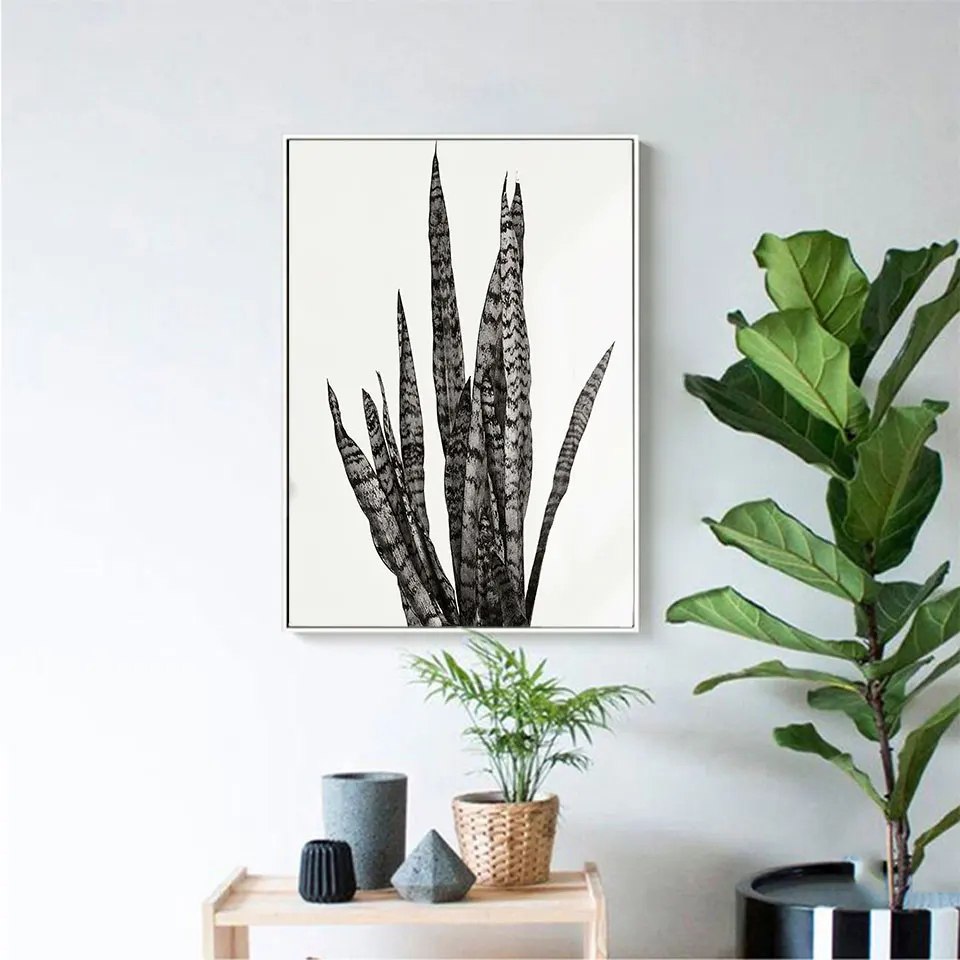 Плакат Sansevieria Trifasciat Картина на холсте с растениями скандинавские настенные