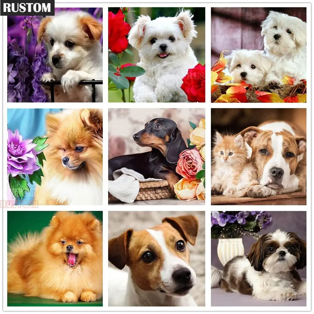 Домашнее животное С алмазами с изображением крестом Наборы щенки померанского