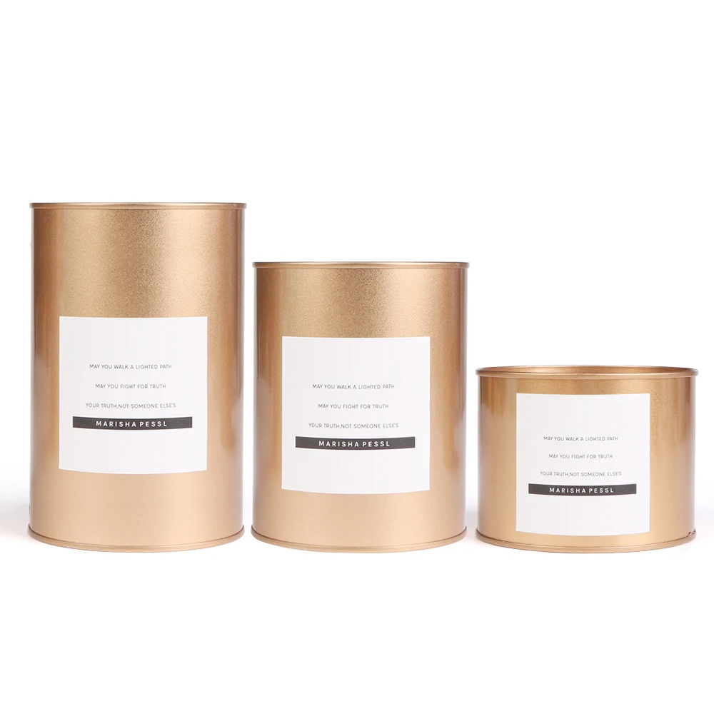 Железный розовое золото нордический резервуар для хранения посадочный горшок