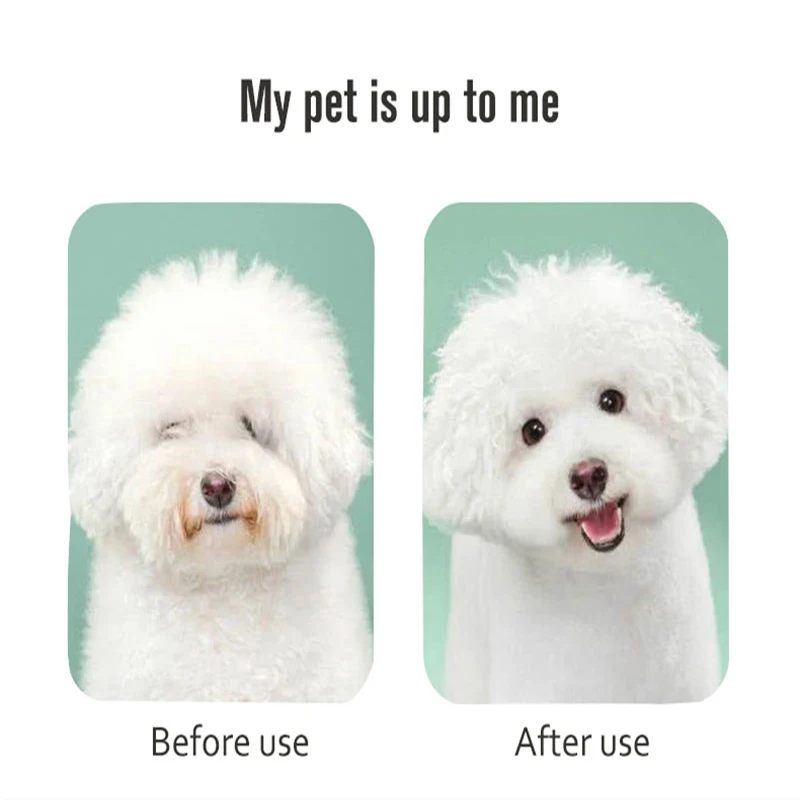 2 в 1 Портативный сушилка для собак собака фен волос и расческа щетка домашних