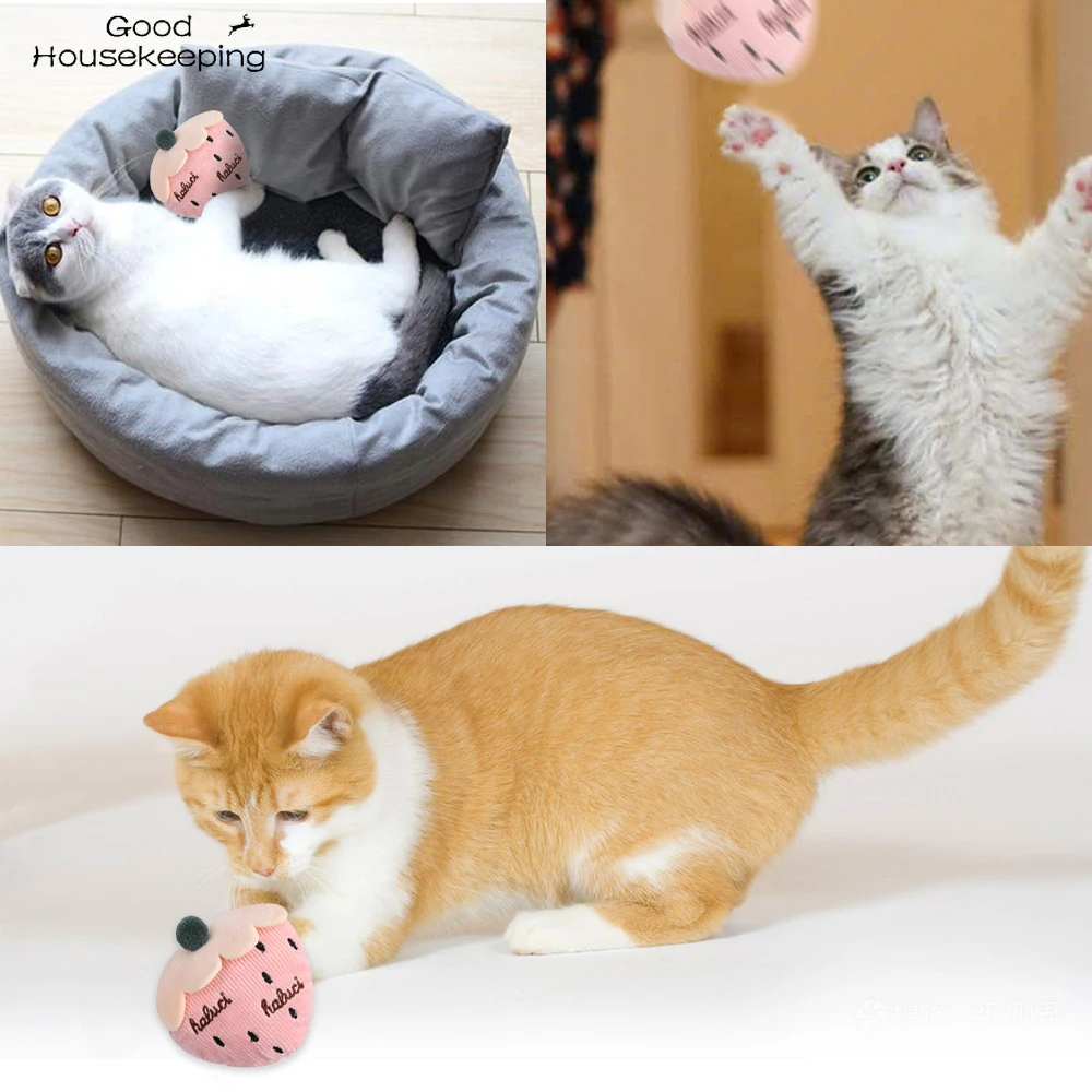 Кошка игрушка мини кошка шлифовальные кошачьи игрушки Забавный интерактивный