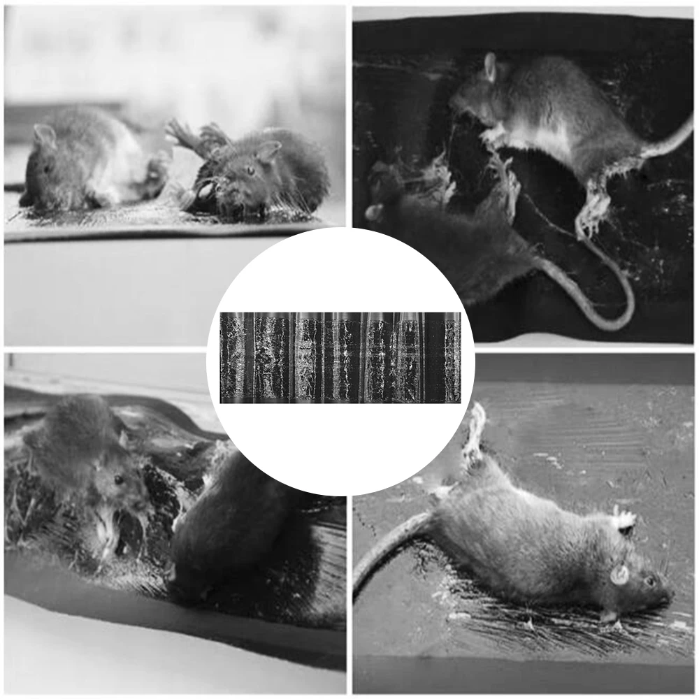 Клейкая ловушка для мыши супер липкая мышей нетоксичный продукт борьбы с