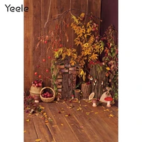 yeele autumn fallen leaves backdrop background photography fruit warehous wood wall floor baby portrait photo photographic prop