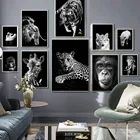 Лев тигр леопард волк слон скандинавский постер и принт животные настенная живопись Холст Настенная картина для гостиной домашний декор