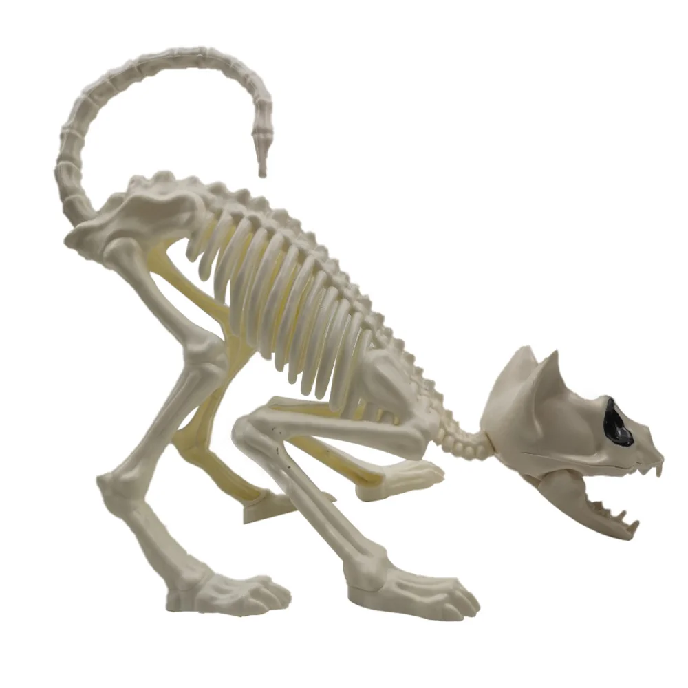 

1Pc Crouching Cat Skeleton Cat Model Creepy Animal Bones for Decoration (White)