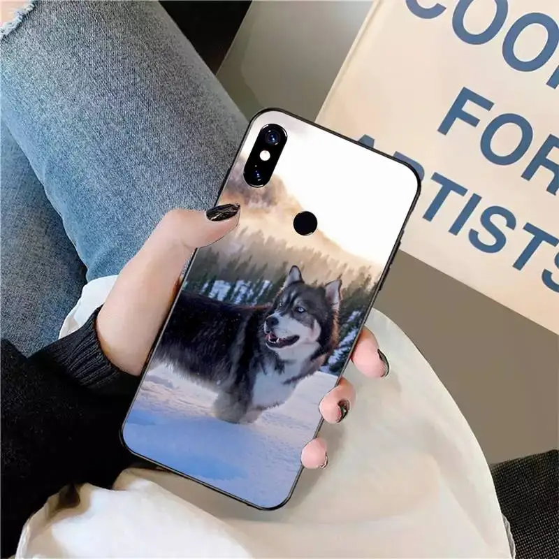 

Phone Case For Xiaomi Redmi Note 4 4x 5 6 7 8 pro S2 PLUS 6A PRO Alaskan Malamute Siberian husky dog