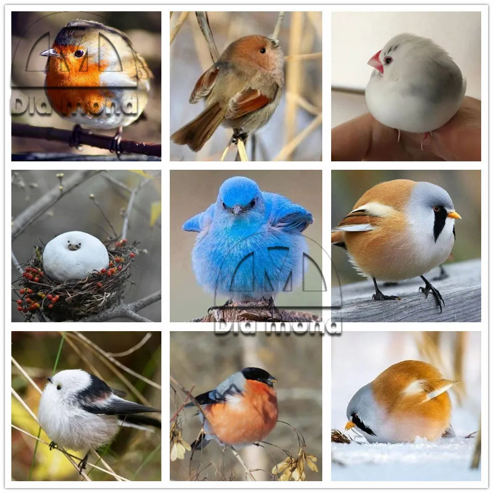 

5D Diy Animal Bird Diamond Painting Full Drill Diamond Embroidery Cross Stitch Mosaic Art Pictures Rhinestones Home Decor Decal