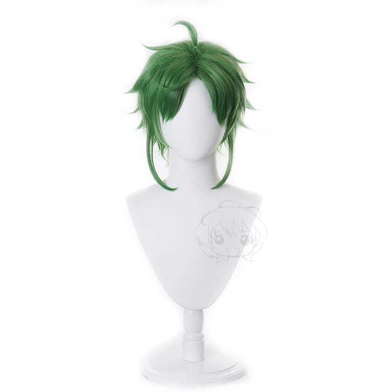 

Anime Mushoku Tensei Jobless Reincarnation Sylphiette Greyrat Cosplay Wigs Headwear Mix Halloween Unisex Hair Wig Cosplay Prop