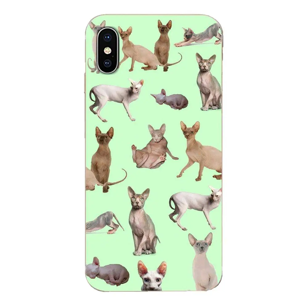 Большая дружественная кошка Sphynx для Huawei Honor Mate 7 7A 8 9 10 20 V8 V9 V10 V30 P40 G Lite Play Mini Pro P Smart
