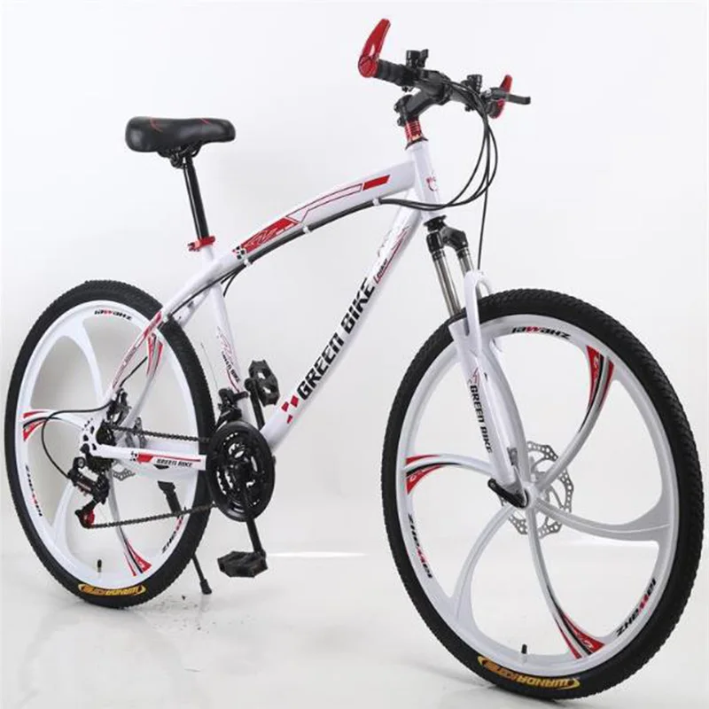 

Variable Speed Mountain Bike
