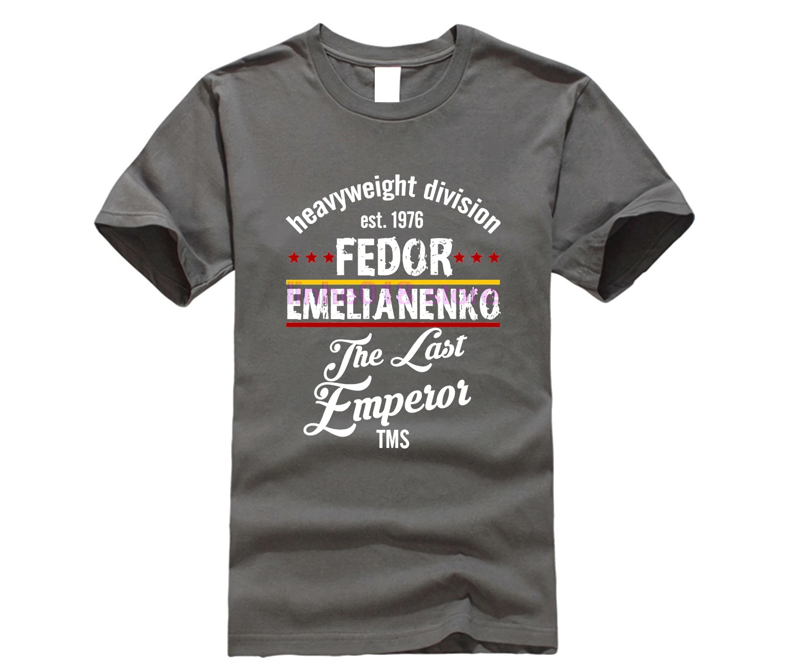 Fedor Emelianenko футболка большого размера на заказ с коротким рукавом футболки для