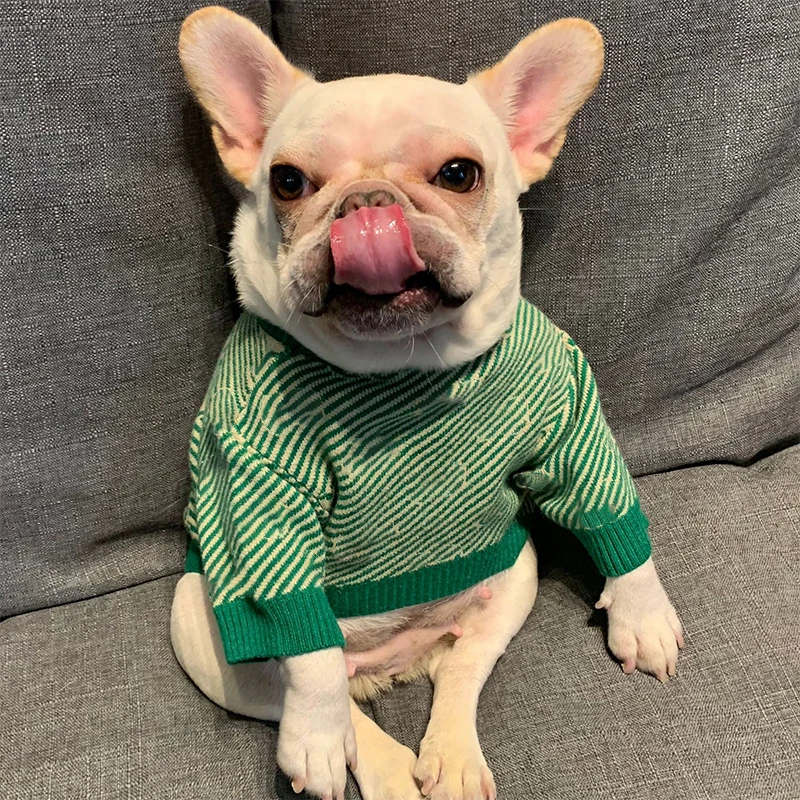 

Pet Sweater Pet Clothes Dog Clothes Dog Sweaters for Small Dogs Halloween Sweater Designer Dog Clothes Chrismas Pet Sweater 1036