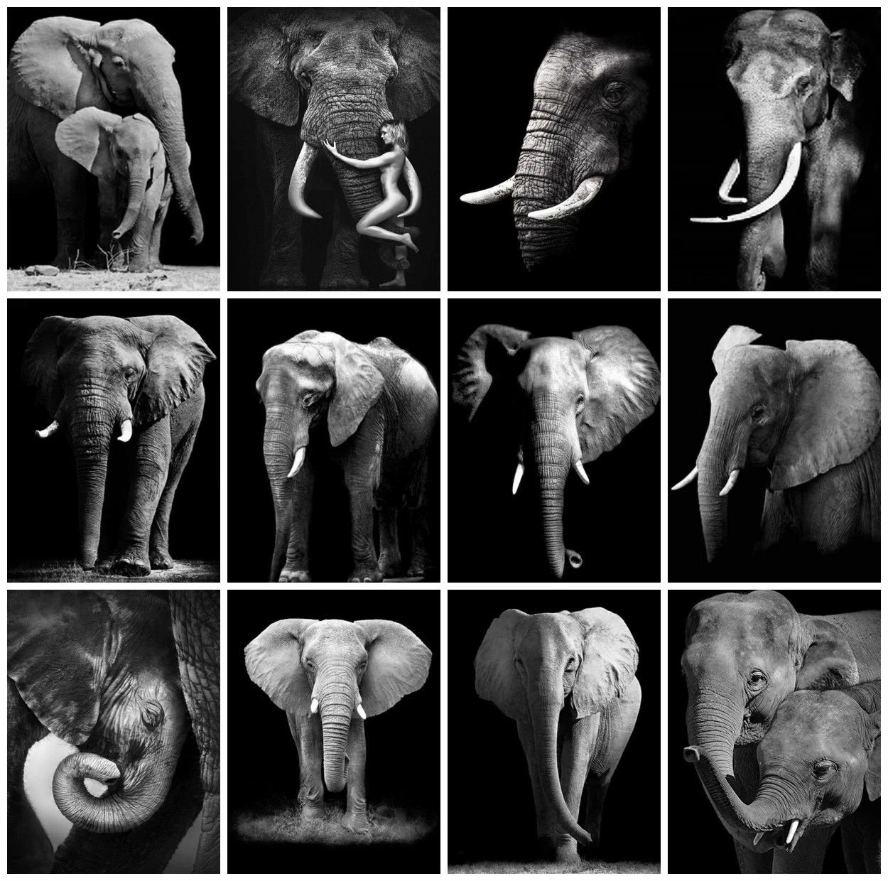 EverShine 5D алмазная живопись слон вышивка крестиком своими руками животные мебель