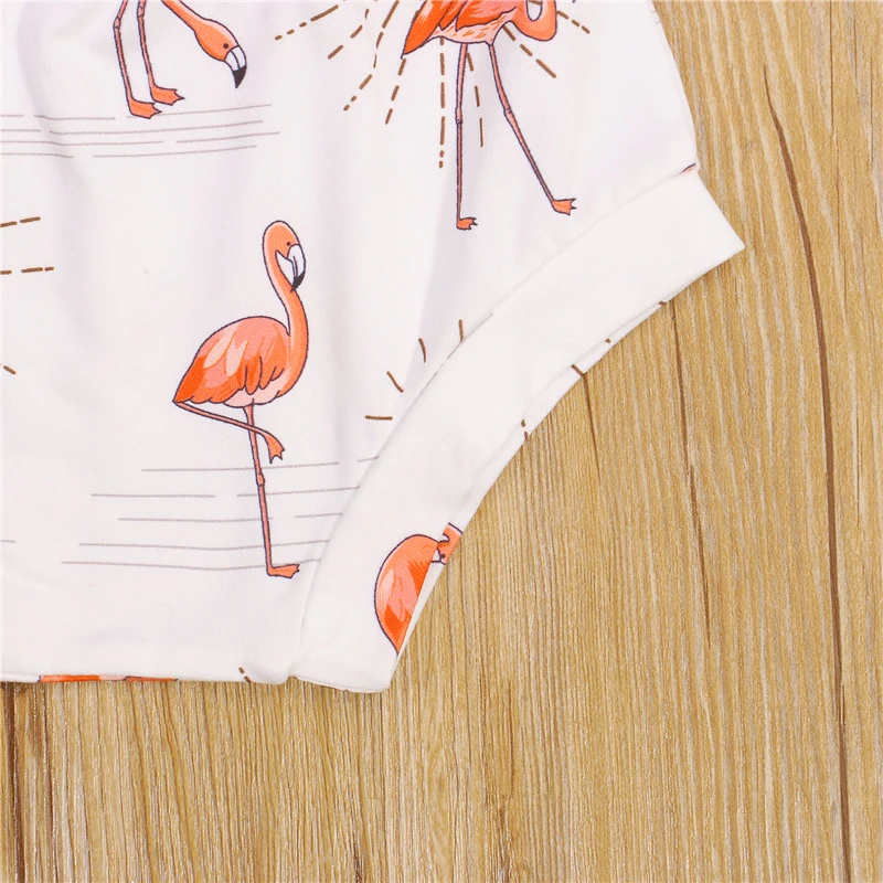 

2Pcs 0-3Years Newborn Kids Girls Casual Outfits,Children Girls Flamingo Print O-Neck Short Sleeve T-Shirt+Shorts for Summer