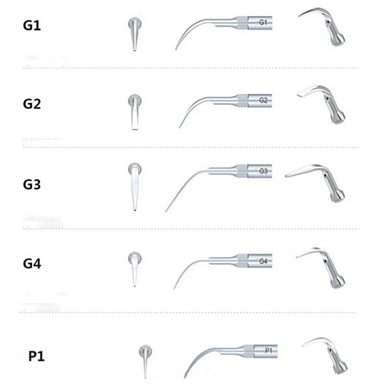 5 . G1, G2, G3, G4, P1          Fit EMS Woodpecker