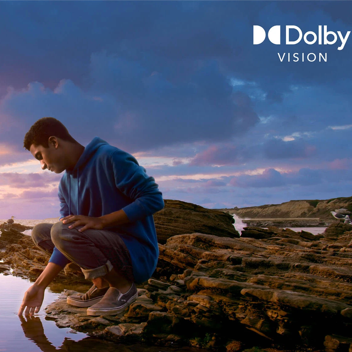 Original Global Version Xiaomi 11 Lite 5G Ne Smartphone Snapdragon 778 Octa-Core 64MP Camera 90HZ Amoled Display 33W Fast Charge