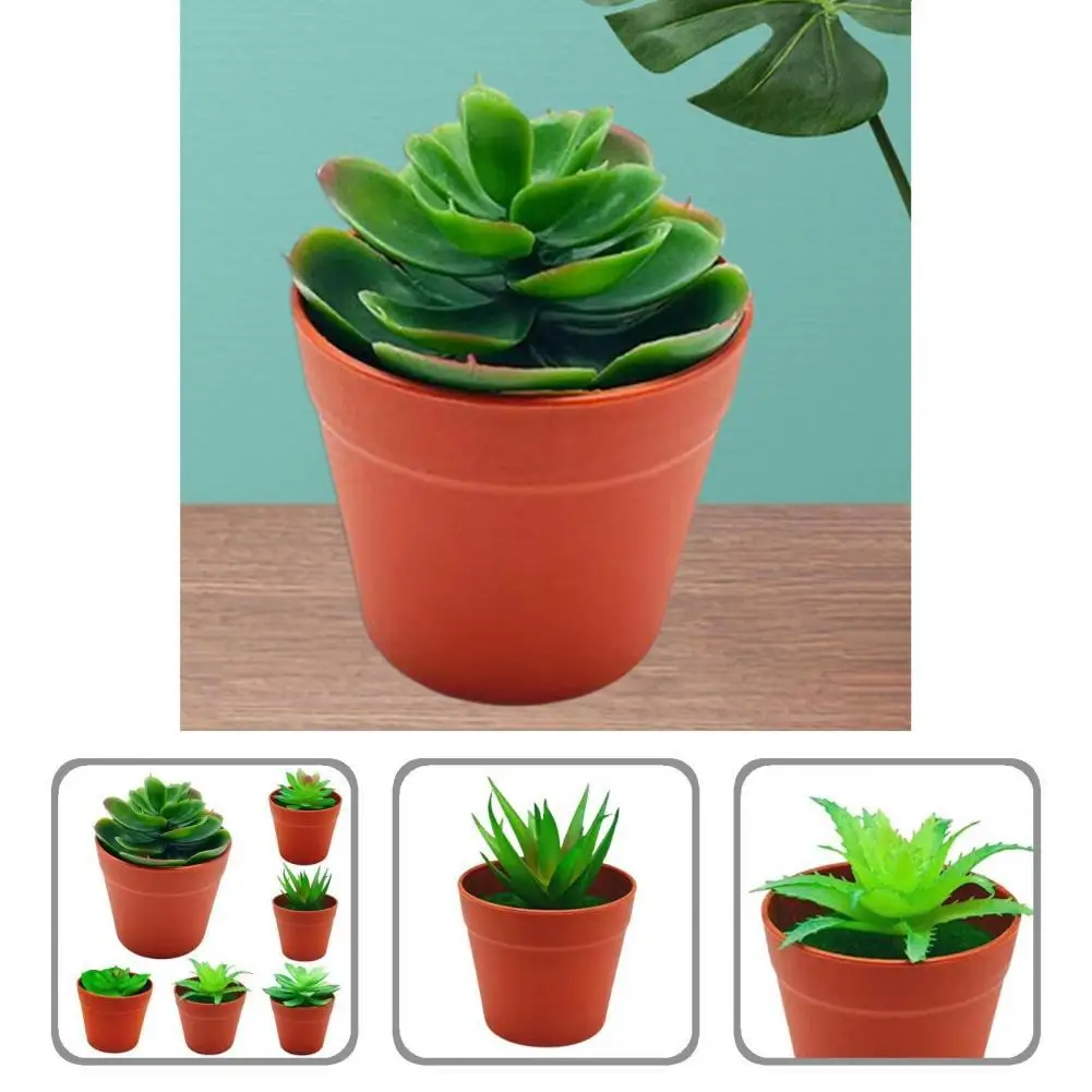 

Искусственный бонсай, компактный искусственный бонсай, яркий мини-искусственный суккулент