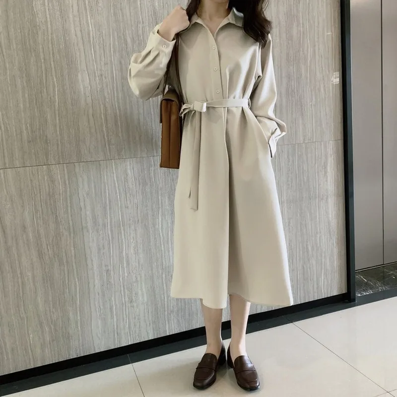 2019 осеннее Новое ТРАПЕЦИЕВИДНОЕ ПЛАТЬЕ с длинными рукавами и воротником-стойкой