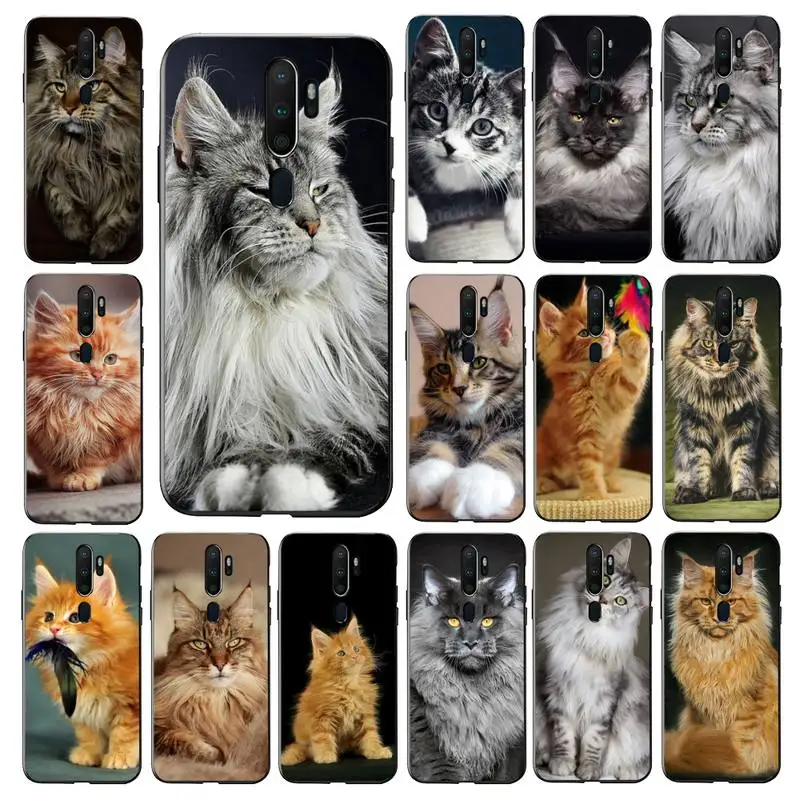 

FHNBLJ pet maine coon cat Phone Case for vivo Y91C Y11 17 19 53 81 31 91 for Oppo a9 2020