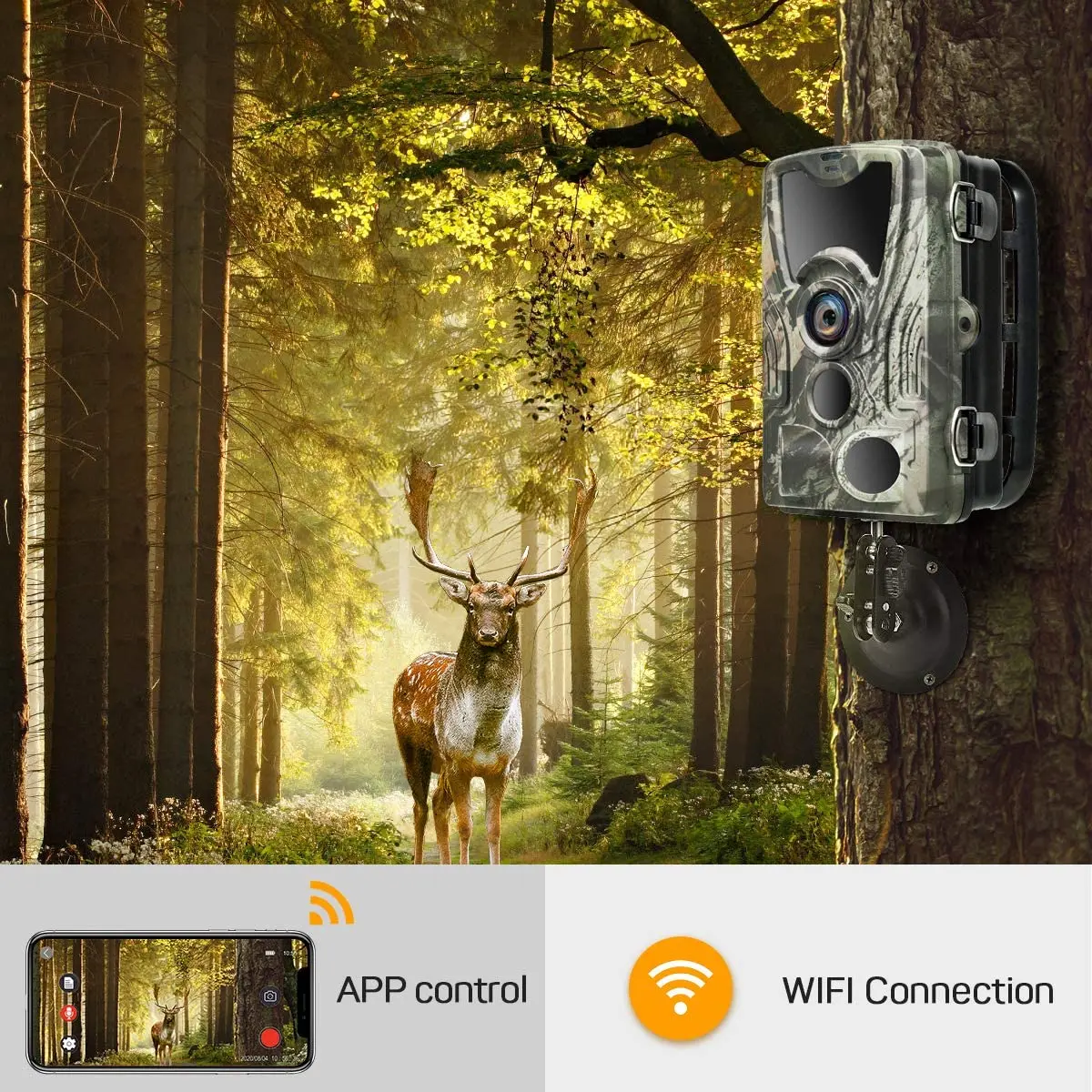 APP Bluetooth Control Hunting Cameras Live Show WIFI Trail Camera 24MP 1296P WIFI801B Night Vision  Wildlife Surveillance