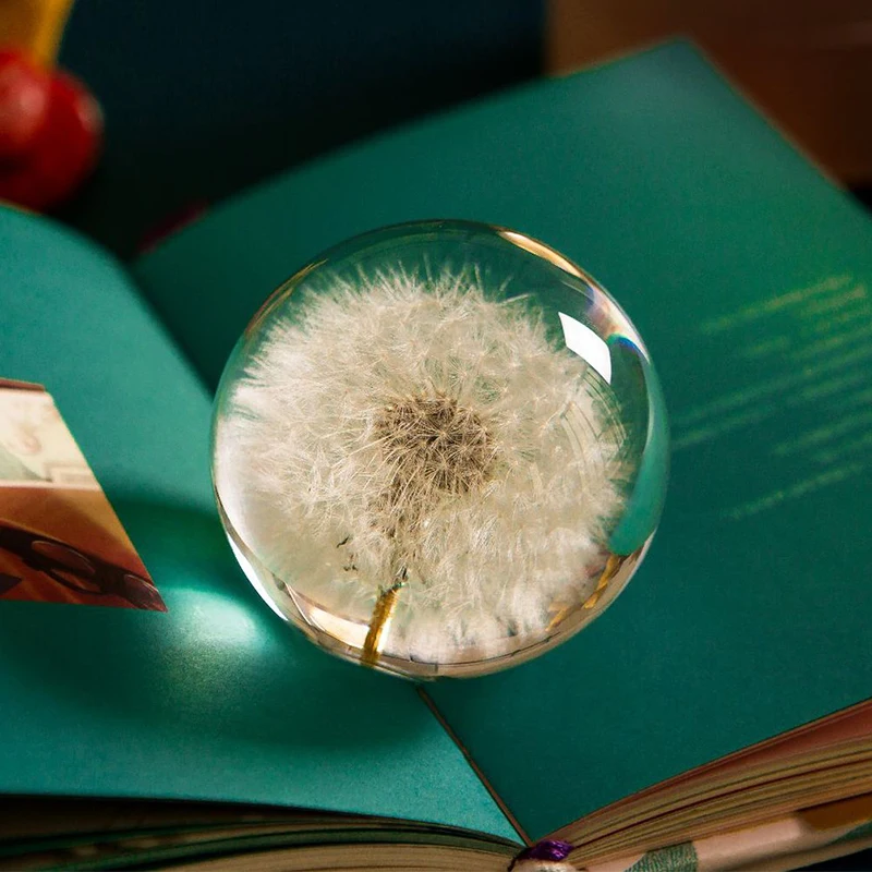 

Real Dandelion Glass Resin Lens Ball 80mm Natural Plants Specimen Feng Shui Flowers Christmas Love Gift Home Decor Globe