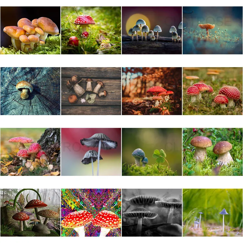 

5D Diy Diamond Painting Purple Mushroom In The Grass Home Decoration Can Be Customized with Diamond Embroidered Square Diamond
