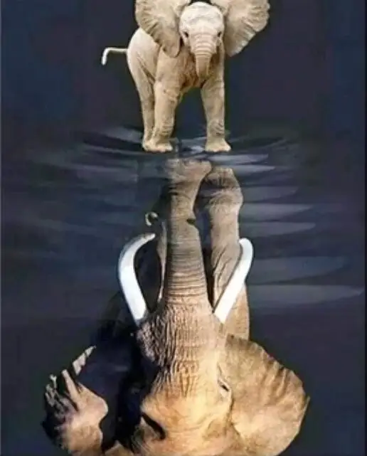 

DIY 40X50cm Oil Painting By Numbers Baby elephant imaging big Paint by numbers On Canvas Home Decor Digital Painting chrismas