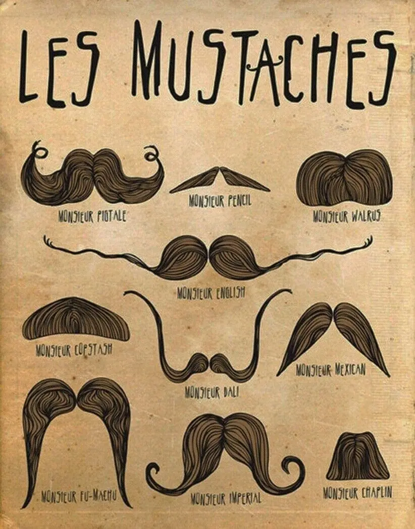 Les Mustaches Metal Tin Sign 12x8 Inch Decor