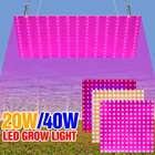 Светодиодный ная фитолампа полного спектра для выращивания растений, лампа для гидропоники, короб для выращивания семян стандарта США, Великобритании, ЕС, 220 В, 20 Вт, 40 Вт