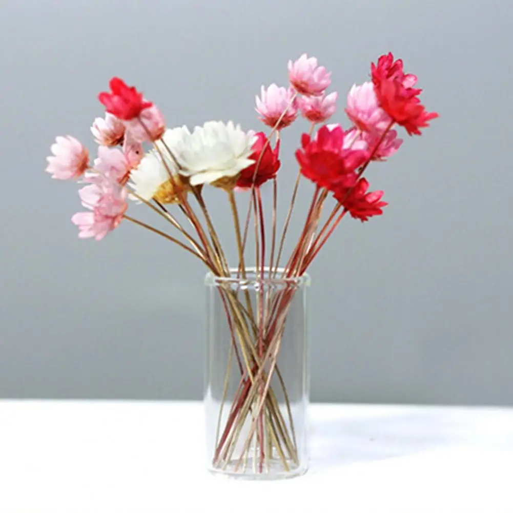 

Mini Fresh Dried Flower Vase Model Doll House Decor Home Furnishings DIY Crafts