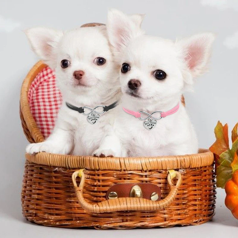 Милая маленькая собачка ожерелье с кулоном в виде сердца 4 цвета ошейник для