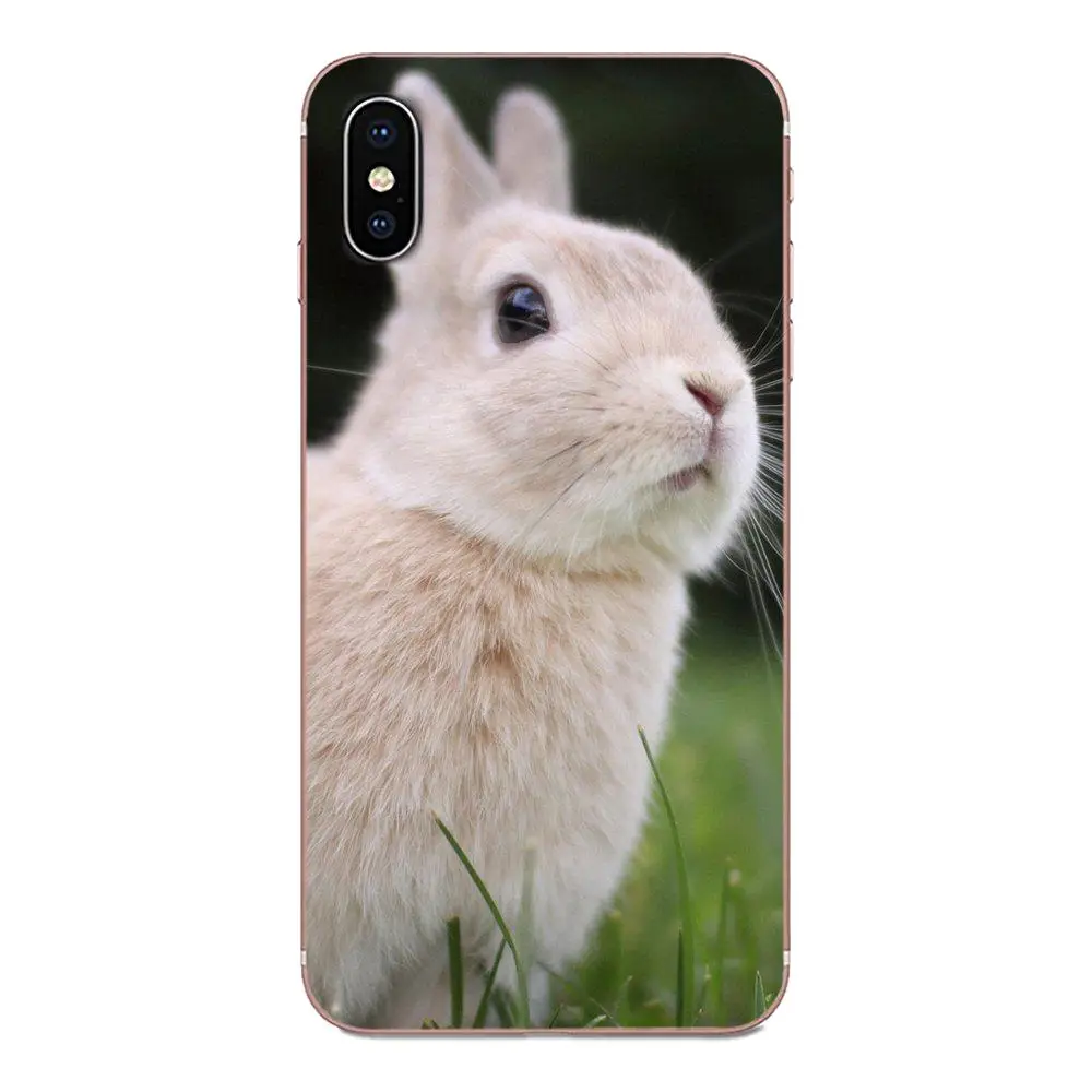Симпатичные Mr коала Пасха Банн Кролик для huawei Honor 4C 5A 5C 5X6 6A 6X7 7A 7C 7X8 8C 8S 9 10 10i 20 20i Lite