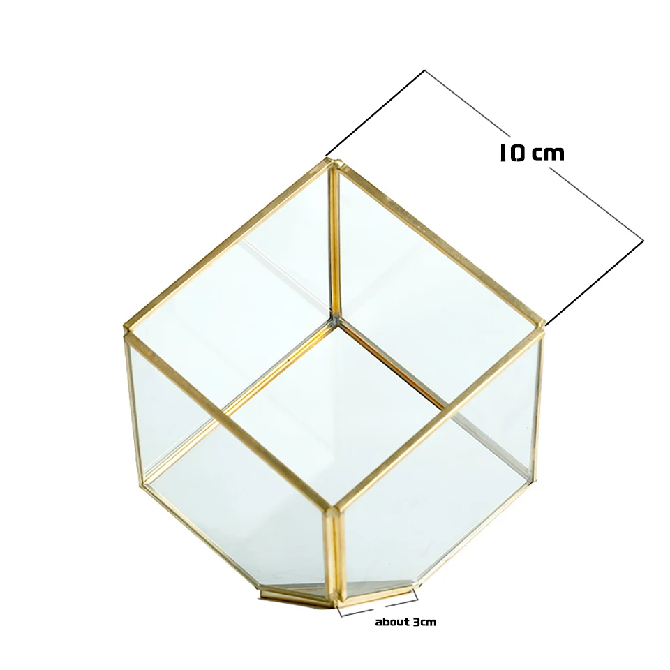 Современный из прозрачного стекла геометрический микро Ландшафтный Террариум