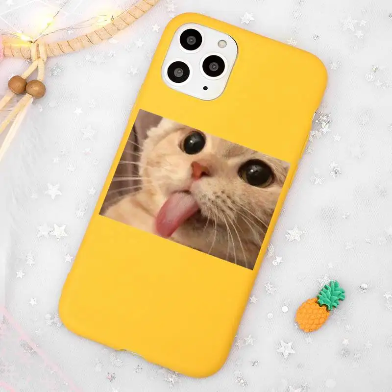 

Cute animal cat dog Phone Case Candy Color Yellow for iPhone 11 12 pro XS MAX 8 7 6 6S Plus X 5S SE 2020 XR