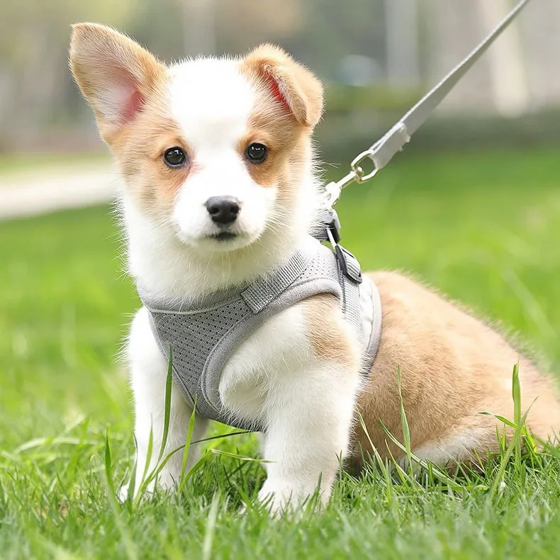 

Dog Carrier Pet Breathable Soft Mesh Chest Strap Pet Clothes Adjustable Vest-style Dog Leash Reflective Dog Leash