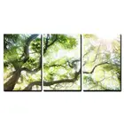 Алмазная картина 5D сделай сам, набор из 3 предметов, большое зеленое дерево с солнечным светом, триптих с полноразмерной вышивкой, настенное искусство
