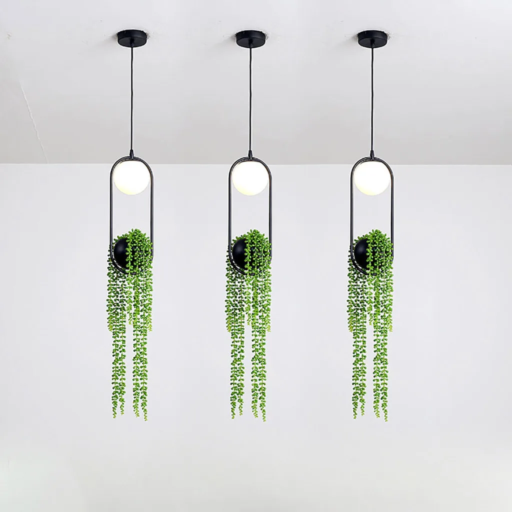 Северное растение люстра цветочный горшок красивый сад под открытым небом