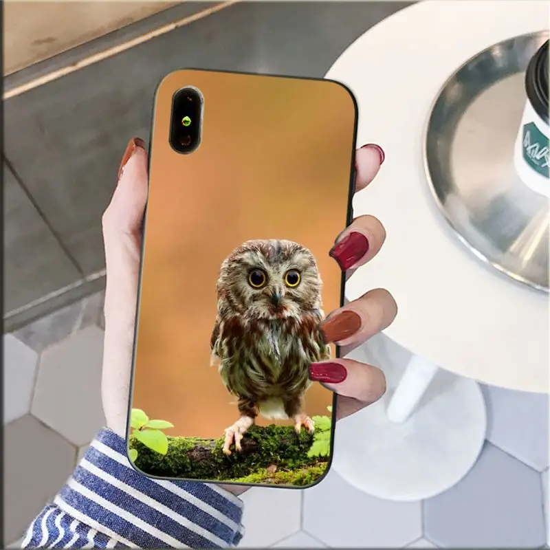 animal owl eyes phone accessories case for iphone 11 12 pro xs max xs xr 8 7 6 plus 5 5s se 12mini free global shipping